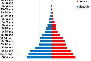 Repartition de la population selon l'âge quinquennal et le sexe