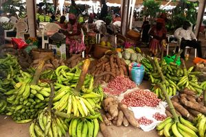 Echo du marché - Prix des produits dans les différents marchés en Côte d'Ivoire depuis Janvier 2022