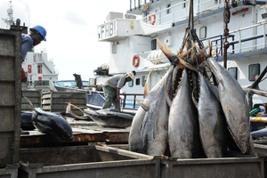 Importation de produits de pêche et dérivés par zone économique entre 2022 et 2023
