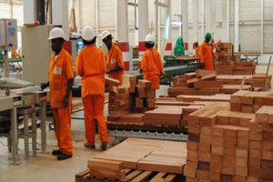 Transformation mensuelle de bois en 2022 et 2023(m³)