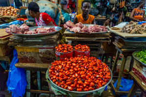 Mise à jour des prix de gros et de détail sur certains marchés de la Côte d'Ivoire en 2016