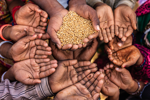 Proportion des populations en insécurité alimentaire par région en 2023